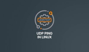 How to do UDP Ping with Linux